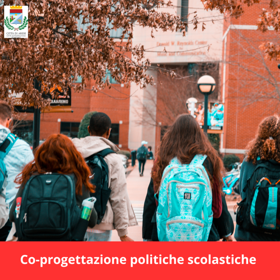 Co-progettazione e gestione di interventi innovativi e sperimentali nell'ambito delle politiche scolastiche